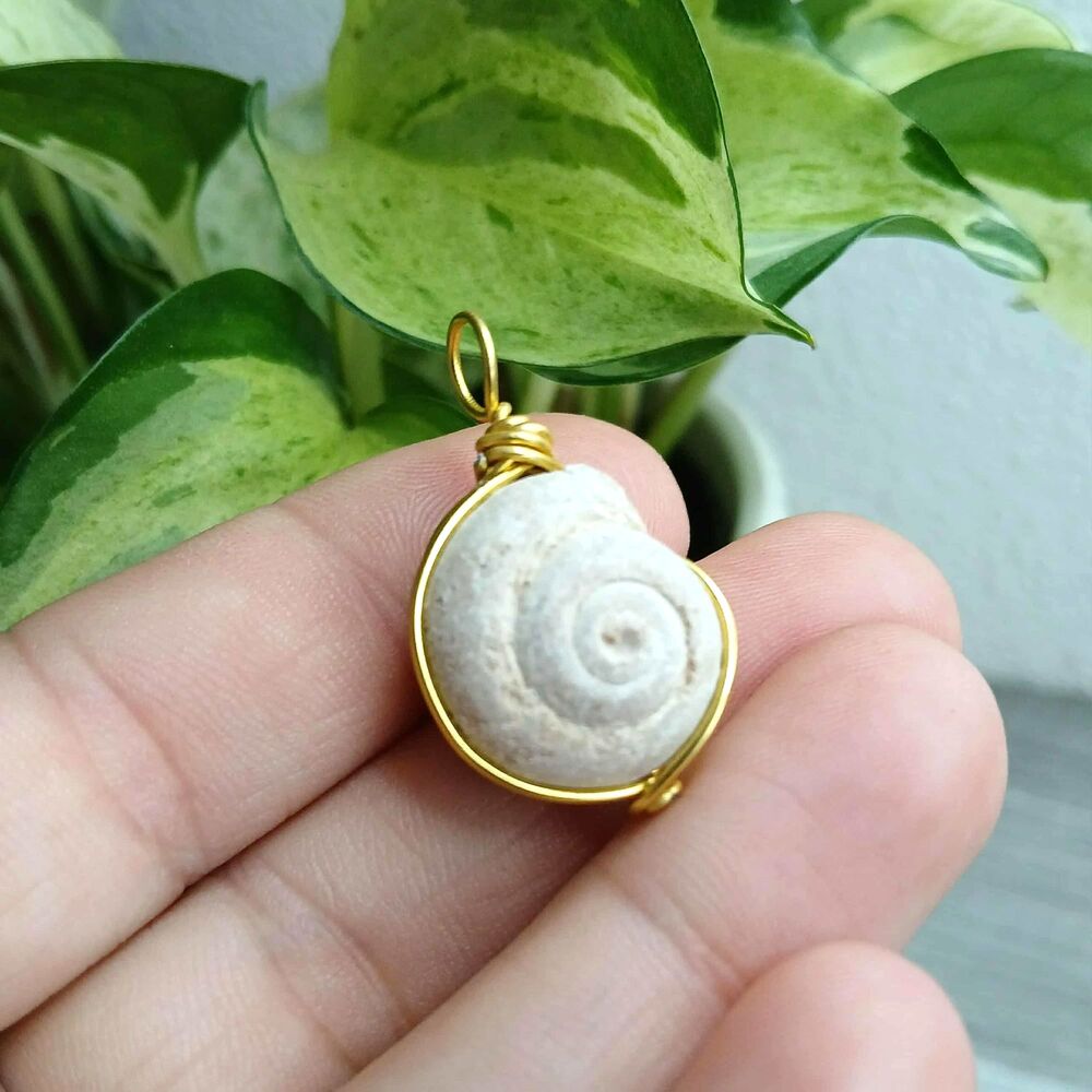 2/$10 Fossil Wire Wrapped Pendant Charm, Jewelry Making Craft Supplies, 1.25"